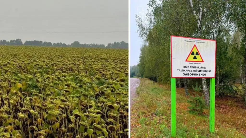 На Житомирщині викрили схему використання радіоактивно забруднених земель