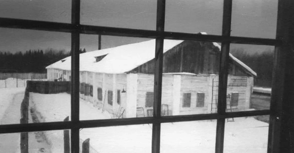 Василь Стус – поет, якого зламати не вдалося: 88 років від дня народження