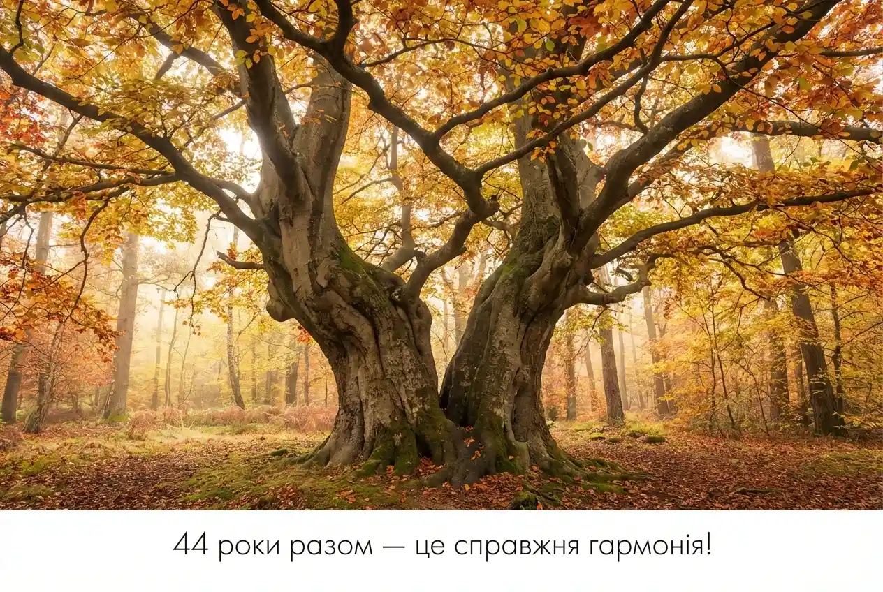 44 роки весілля 44 роки весілля