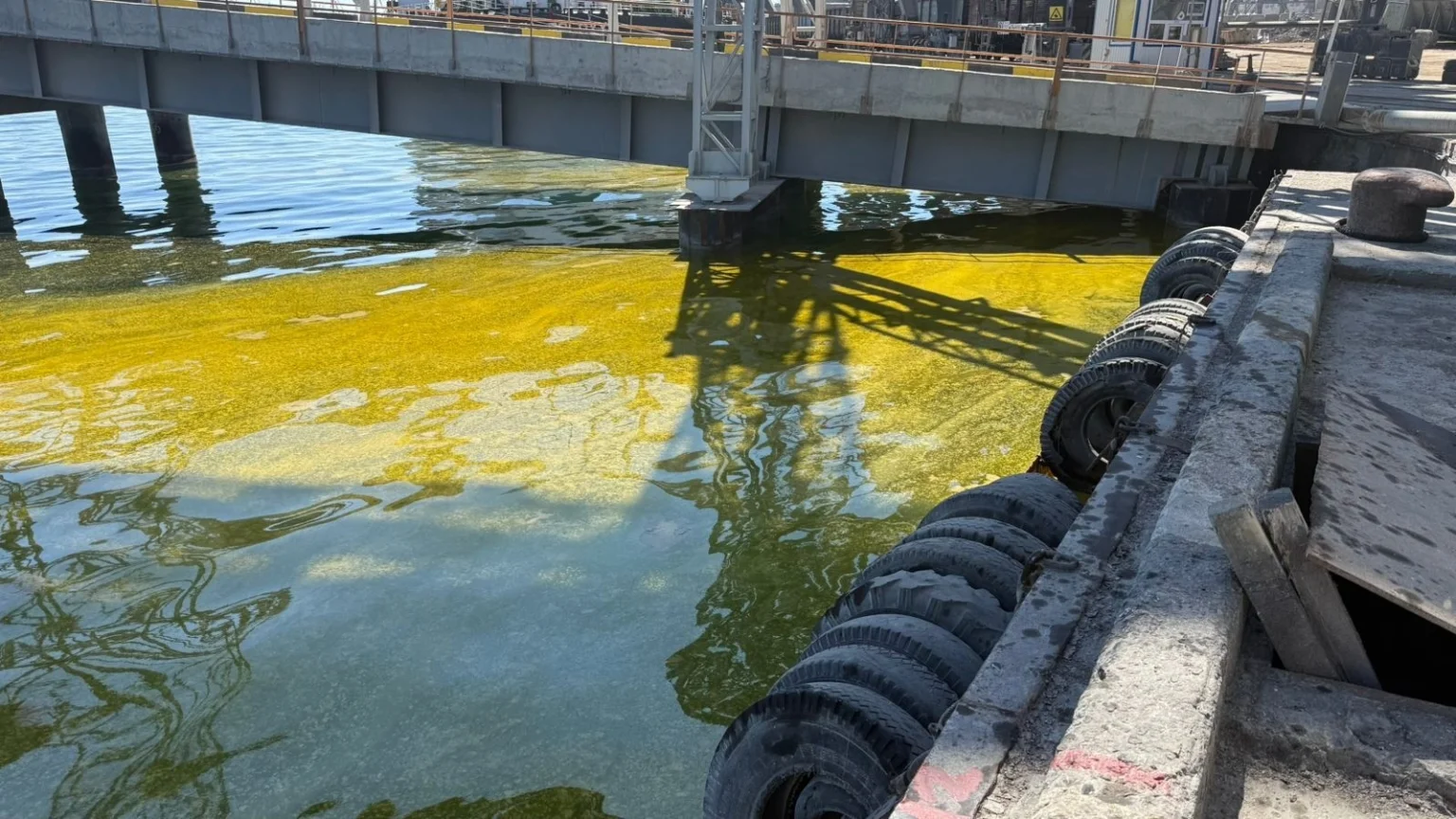 Екологічна загроза на Одещині: у Чорне море вилилися тонни соняшникової олії