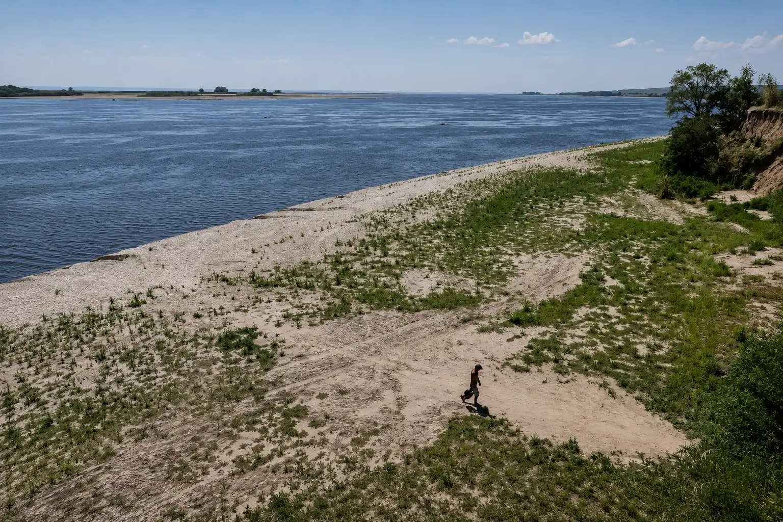 Замість води – заповідна зона: на дні Каховського водосховища зафіксували понад 350 видів рослин