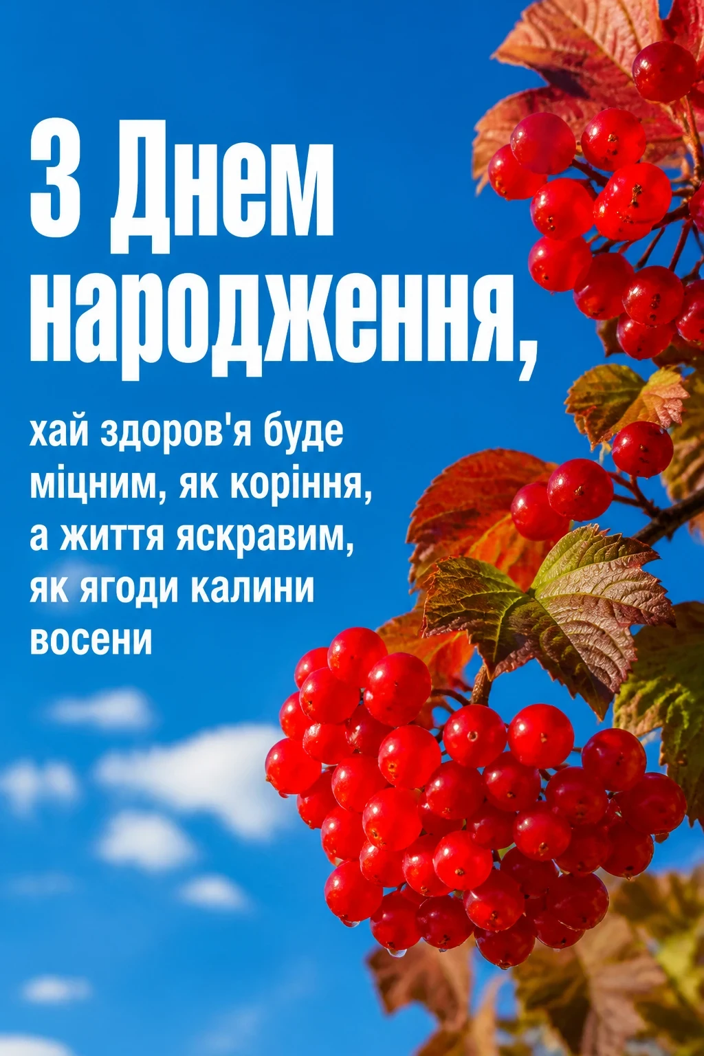 патріотичне привітання з днем народження патріотичне привітання з днем народження